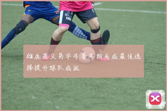 雄鹿若交易字母哥布朗或成最佳选择提升球队成就